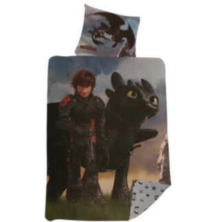 Dětské povlečení Jak vycvičit draka