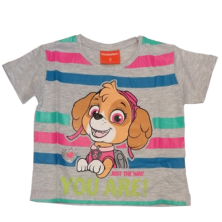 Dívčí tričko Tlapková patrola YOU ARE šedé