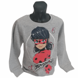 Dívčí mikina Kouzelná Beruška šedá